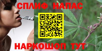 дурь Кинель