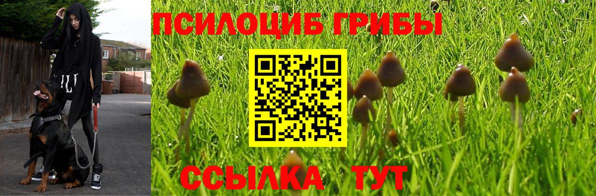 Благовещенск  Псилоцибиновые грибы GOLDEN TEACHER  Галлюциногенные грибы мухоморы  Вход с VPN 